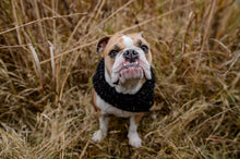 Load image into Gallery viewer, Infinity cowl | Dog infinity scarf