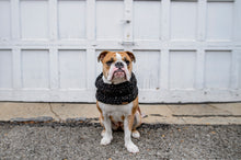 Load image into Gallery viewer, Infinity cowl | Dog infinity scarf