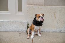Load image into Gallery viewer, Infinity cowl | Dog infinity scarf