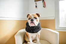 Load image into Gallery viewer, Infinity cowl | Dog infinity scarf