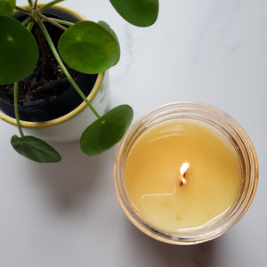 8 oz summer scented soy wax candle