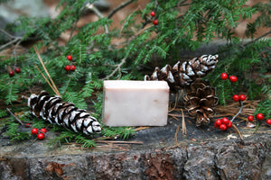 Apple cider solid bar shampoo+soap